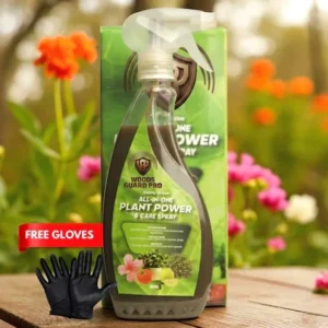 All in 1 Plant Care Spray