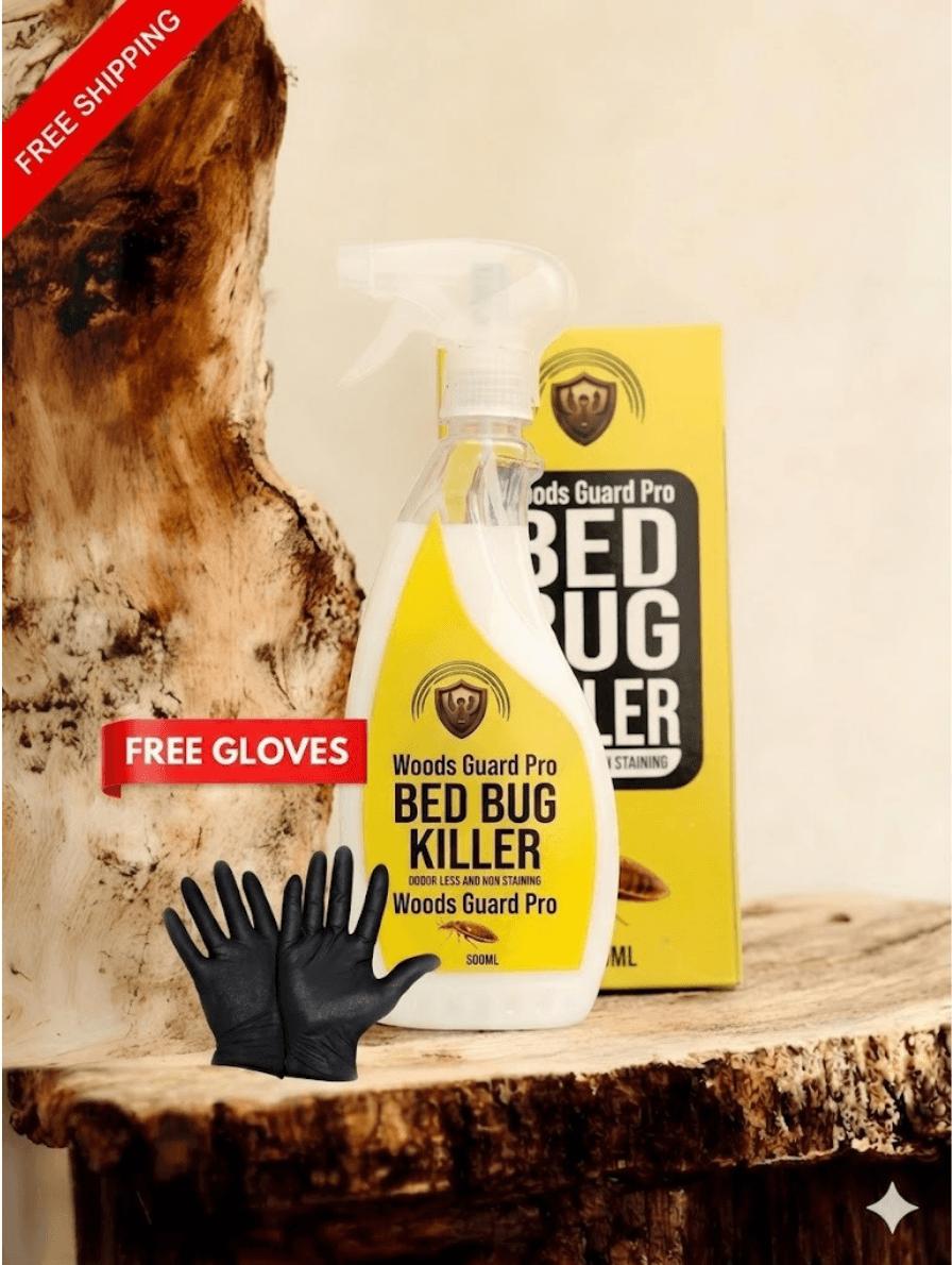 BedBug-Killer-Home-Pic