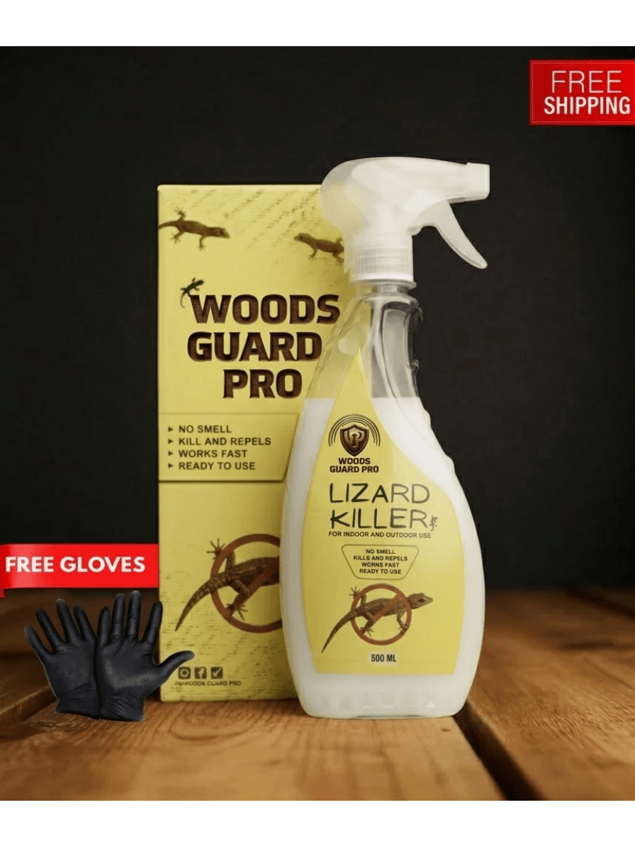 Lizard-Killer-Home-Pic
