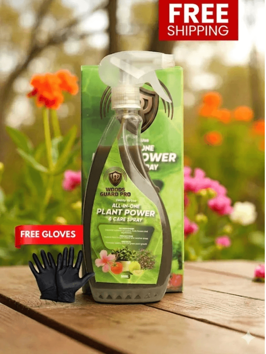 Plant-Care-Spray-Home-Pic